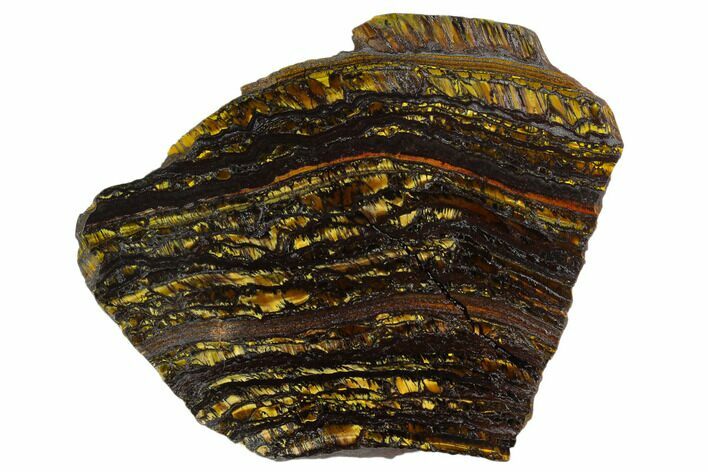Polished Tiger Iron Stromatolite - Billion Years #129295
